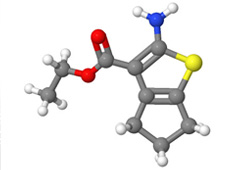 n acetyl 4 s cysteminylphenol